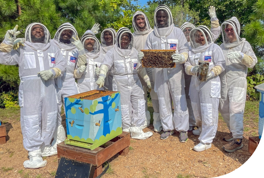 Colleagues learn about beekeeping with help from Bee Downtown.