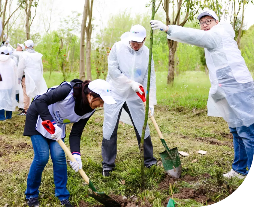 Volunteering Efforts