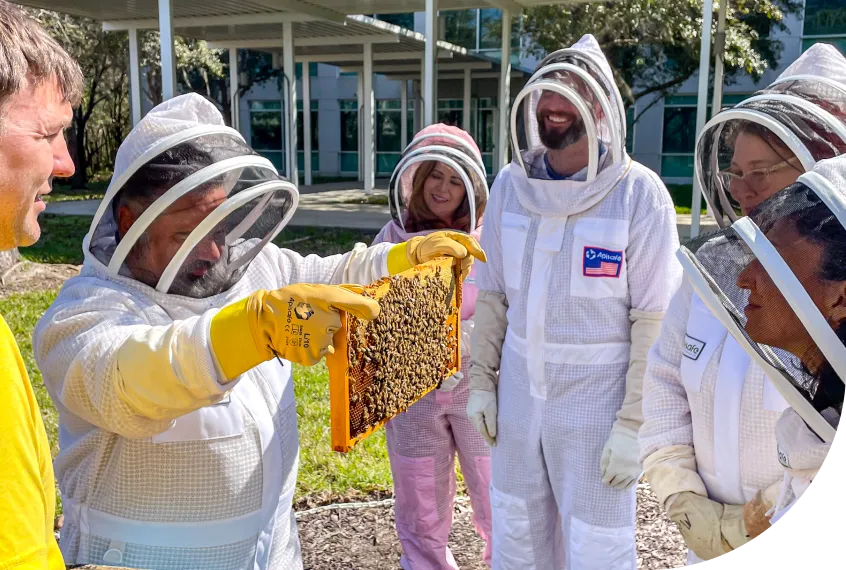 Volunteering Efforts